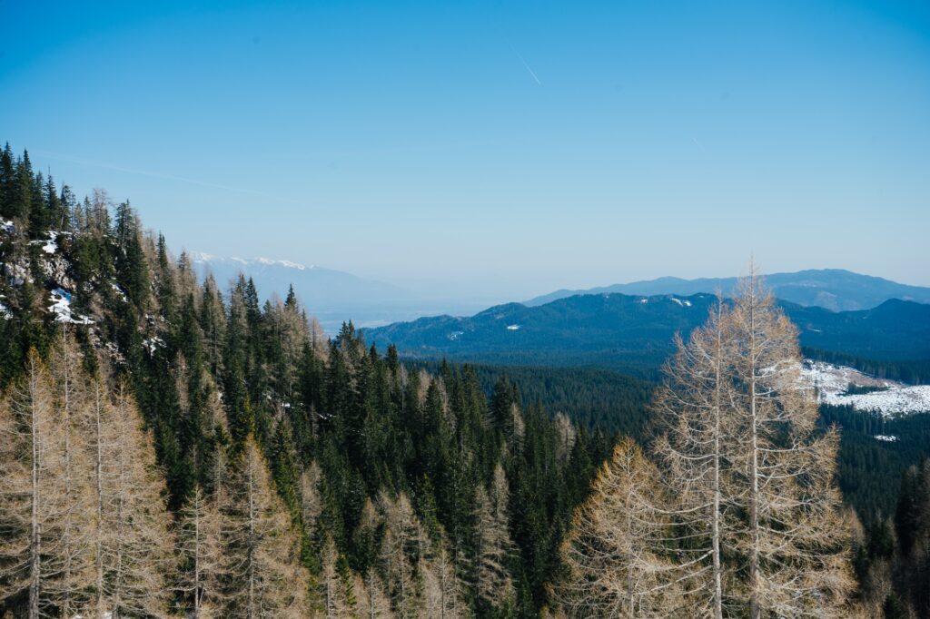 Mountains view
